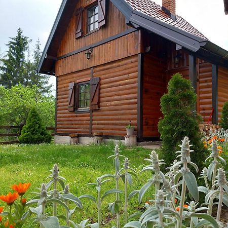 Brvnare Na Brdu Villa Sljivovica  Dış mekan fotoğraf